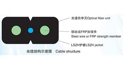 FTTH