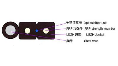 FTTH